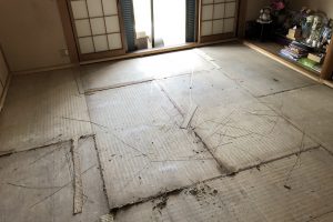 宝塚市 和室改修工事 クッションフロアー貼り替えBeforeイメージ