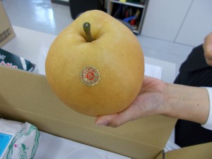 大きい梨(1)